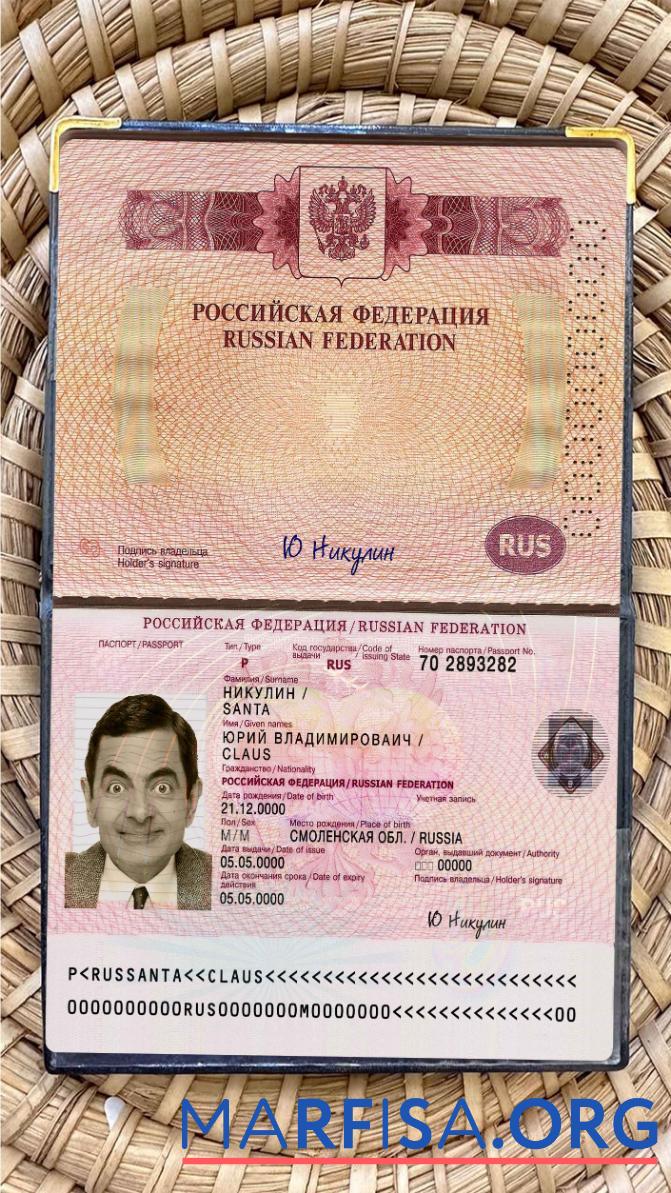 Realistic Russia travel passport photo look real example